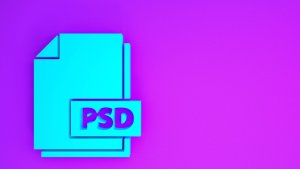 psd mockups